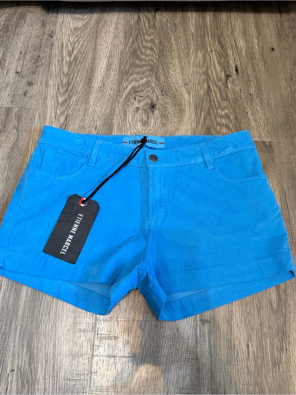 Etienne Marcel Turquoise Blue Low Rise Stretch Denim Cutoff Shorts Size 30 NWT